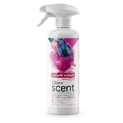 Odświeżacz powietrza CLINEX Scent spray -paryski wdzięk 500 ml